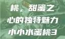 水蜜桃与小蜜桃，甜蜜之心的独特魅力小小水蜜桃3[电视剧]