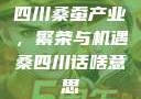四川桑蚕产业，繁荣与机遇桑四川话啥意思