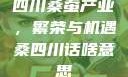 四川桑蚕产业，繁荣与机遇桑四川话啥意思