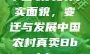 中国农村的真实面貌，变迁与发展中国农村真卖Bbwbbw