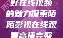 欧美乱妇，狂野在线视频的魅力探索陌陌影视在线观看高清完整版