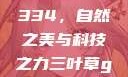 三叶草GW4334，自然之美与科技之力三叶草gw43345