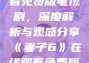 妻子6在线观看免费版电视剧，深度解析与观感分享《妻子6》在线观看免费版电视剧韩剧