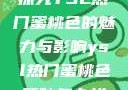 探究YSL热门蜜桃色的魅力与影响ysl热门蜜桃色唇釉怎么样