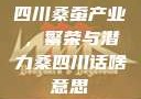 四川桑蚕产业，繁荣与潜力桑四川话啥意思