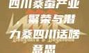 四川桑蚕产业，繁荣与潜力桑四川话啥意思