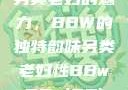 另类老妇的魅力，BBW的独特韵味另类老妇性BBwBBw(85)