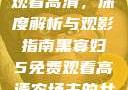 黑寡妇5免费观看高清，深度解析与观影指南黑寡妇5免费观看高清农场主的女儿