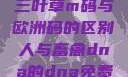 三叶草m码与欧洲码的区别人与畜禽dna的dna免费