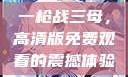 一枪战三母，高清版免费观看的震撼体验