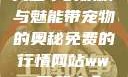 天堂中的妖精与魅能带宠物的奥秘免费的行情网站www下载大全