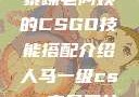 暴躁老阿姨的CSGO技能搭配介绍人马一级csgo交易网站