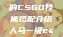 暴躁老阿姨的CSGO技能搭配介绍人马一级csgo交易网站