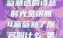 金银瓶下，葡萄熟透的诗意时光金银瓶4葡萄熟了原名叫什么_第01集
