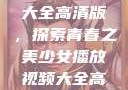 少女播放视频大全高清版，探索青春之美少女播放视频大全高清版在线观看