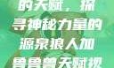 狼人加鲁鲁兽的天赋，探寻神秘力量的源泉狼人加鲁鲁兽天赋视频全集