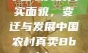中国农村的真实面貌，变迁与发展中国农村真卖Bbwbbw