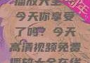 高清视频免费播放大全—今天你享受了吗？今天高清视频免费播放大全在线观看