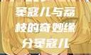 窦寇儿与荔枝的奇妙缘分窦寇儿