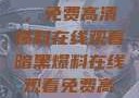 揭秘暗黑世界，免费高清爆料在线观看暗黑爆料在线观看免费高清版视频