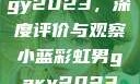 宏翔小蓝视频gy2023，深度评价与观察小蓝彩虹男gary2023的音乐作品