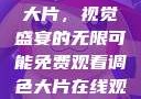 免费观看调色大片，视觉盛宴的无限可能免费观看调色大片在线观看