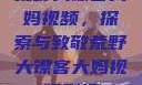 荒野大镖客大妈视频，探索与致敬荒野大镖客大妈视频剧情