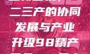 探索中国产业新面貌，一二三产的协同发展与产业升级98精产国品一二三产区区:发现