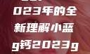探索小蓝g钙与ggy钙，2023年的全新理解小蓝g钙2023ggy钙2023的功能介绍