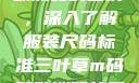 三叶草m码和欧洲码的区别，深入了解服装尺码标准三叶草m码和欧洲码的区别6868