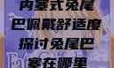 内塞式兔尾巴佩戴舒适度探讨兔尾巴塞在哪里