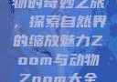 Zoom与动物的奇妙之旅，探索自然界的缩放魅力Zoom与动物Zoom大全美国
