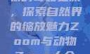 Zoom与动物的奇妙之旅，探索自然界的缩放魅力Zoom与动物Zoom大全美国
