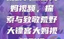 荒野大镖客大妈视频，探索与致敬荒野大镖客大妈视频剧情