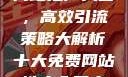 揭秘十大免费网站推广入口，高效引流策略大解析十大免费网站推广入口之必备指南