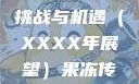 果冻传染煤，一场未来的挑战与机遇（XXXX年展望）果冻传染煤2024年