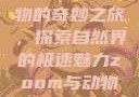 Zoom与动物的奇妙之旅，探索自然界的极速魅力zoom与动物zoom大全
