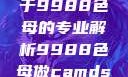 制作CAMDS成分表，关于9988色母的专业解析9988色母做camds成分表最新消息