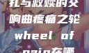 疼痛之轮，挣扎与救赎的交响曲疼痛之轮wheel of pain在哪里