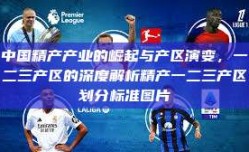 中国精产产业的崛起与产区演变，一二三产区的深度解析精产一二三产区划分标准图片