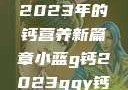 小蓝G钙与GGY钙，探索2023年的钙营养新篇章小蓝g钙2023ggy钙2023的功能介绍