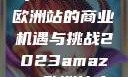 揭秘2023年Amazon欧洲站的商业机遇与挑战2023amazon欧洲站大长颈