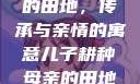 儿子耕种母亲的田地，传承与亲情的寓意儿子耕种母亲的田地的寓意电影