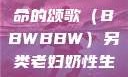 另类视角下的老妇奶性与生命的颂歌（BBWBBW）另类老妇奶性生BBwBBw-BBBBB