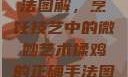 揉鸡的正确手法图解，烹饪技艺中的微妙艺术揉鸡的正确手法图解视频教程