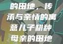 儿子耕种母亲的田地，传承与亲情的寓意儿子耕种母亲的田地的寓意电影