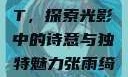 张雨绮人文艺术欣赏PPT，探索光影中的诗意与独特魅力张雨绮人文艺术欣赏ppta
