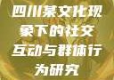 四川某文化现象下的社交互动与群体行为研究