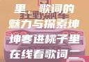 坤坤寒进桃子里，歌词的魅力与探索坤坤寒进桃子里在线看歌词二次元
