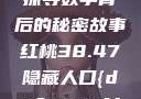 揭秘红桃背后的隐藏人口，探寻数字背后的秘密故事红桃38.47隐藏人口{dc"MIYU02"